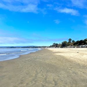 Meet your Posher, Arielle